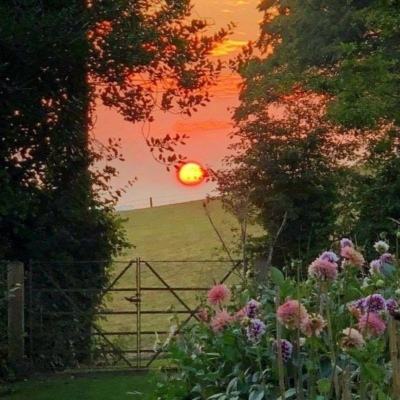 星空线上官网下载手机版截图