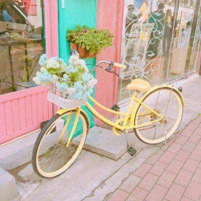 ky体育官方平台